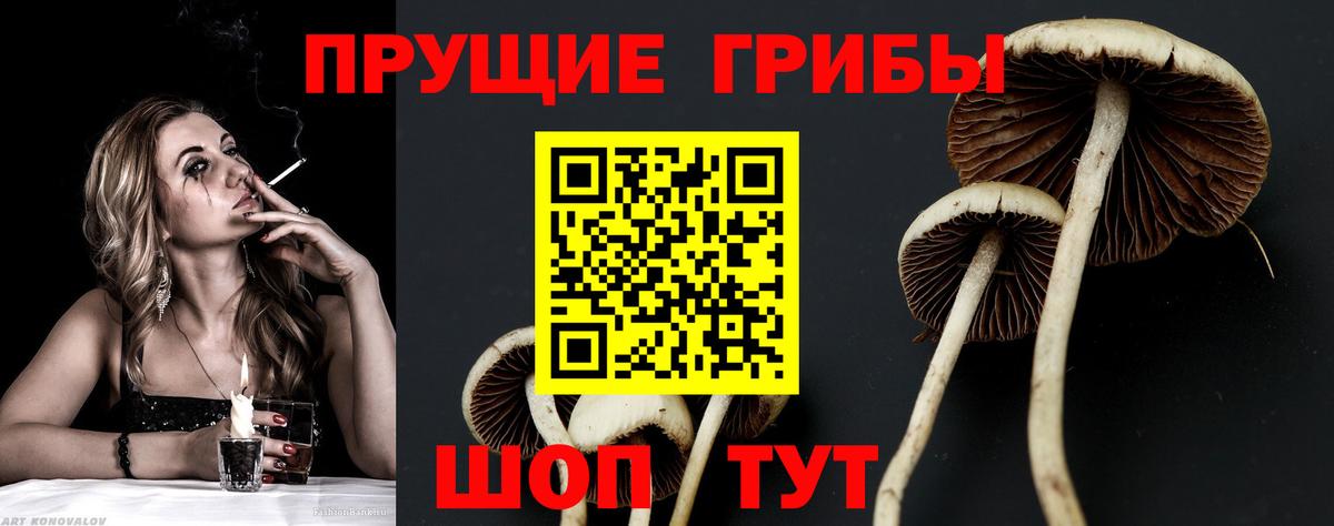 Псилоцибиновые грибы ЛСД Ессентуки